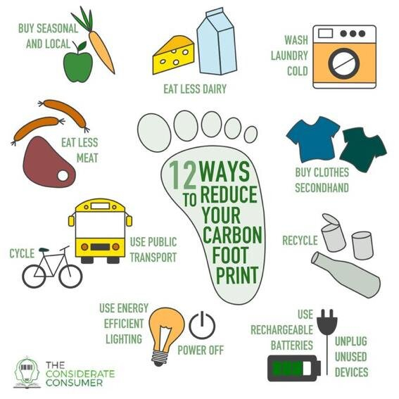 energy efficient home save money