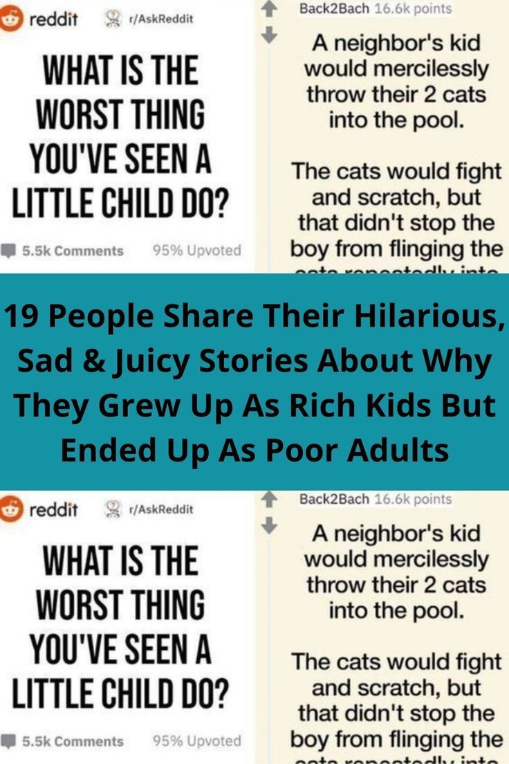 pet insurance worth it