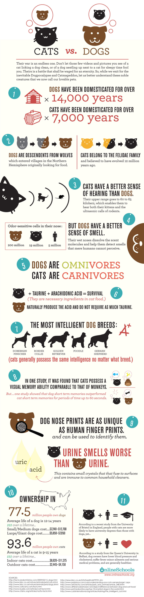 cat insurance vs dog insurance cost
