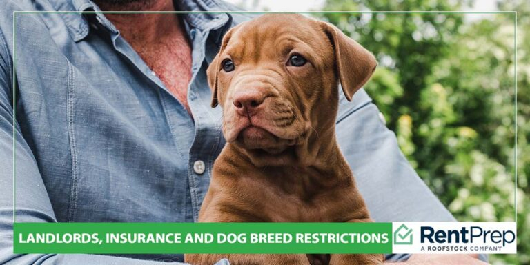 Navigating breed restrictions when finding coverage for large dogs