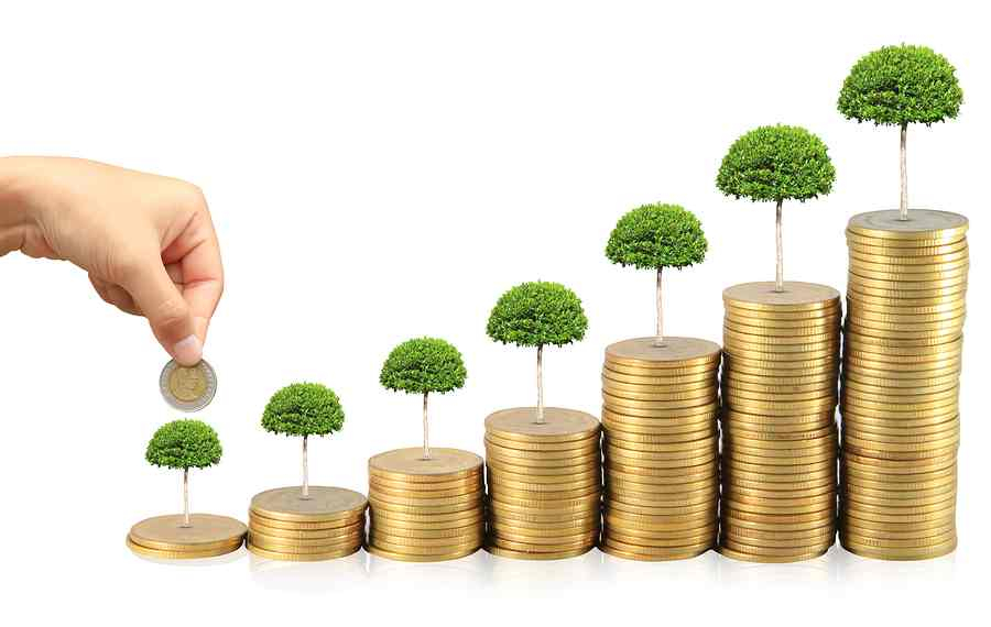 growth at reasonable price