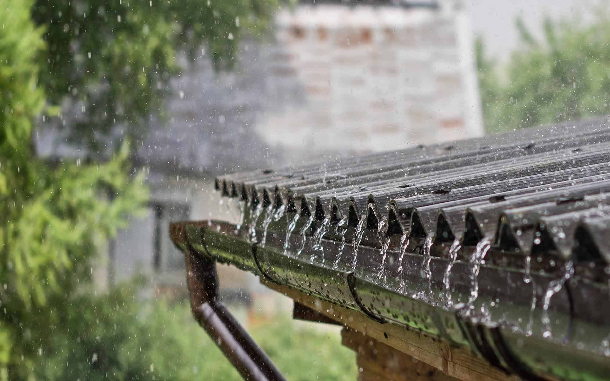 harvest rainwater save money