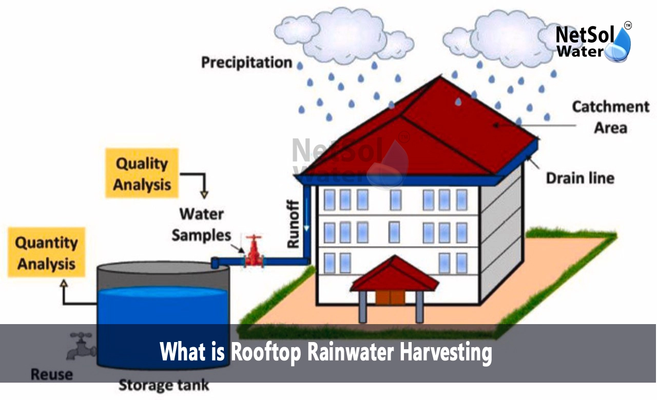 harvest rainwater save money