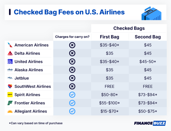 save money on luggage fees