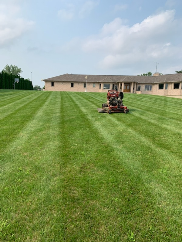 save on lawn care