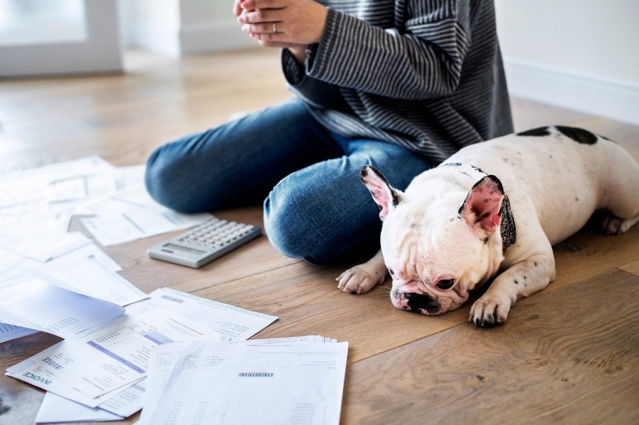 save on pet supplies