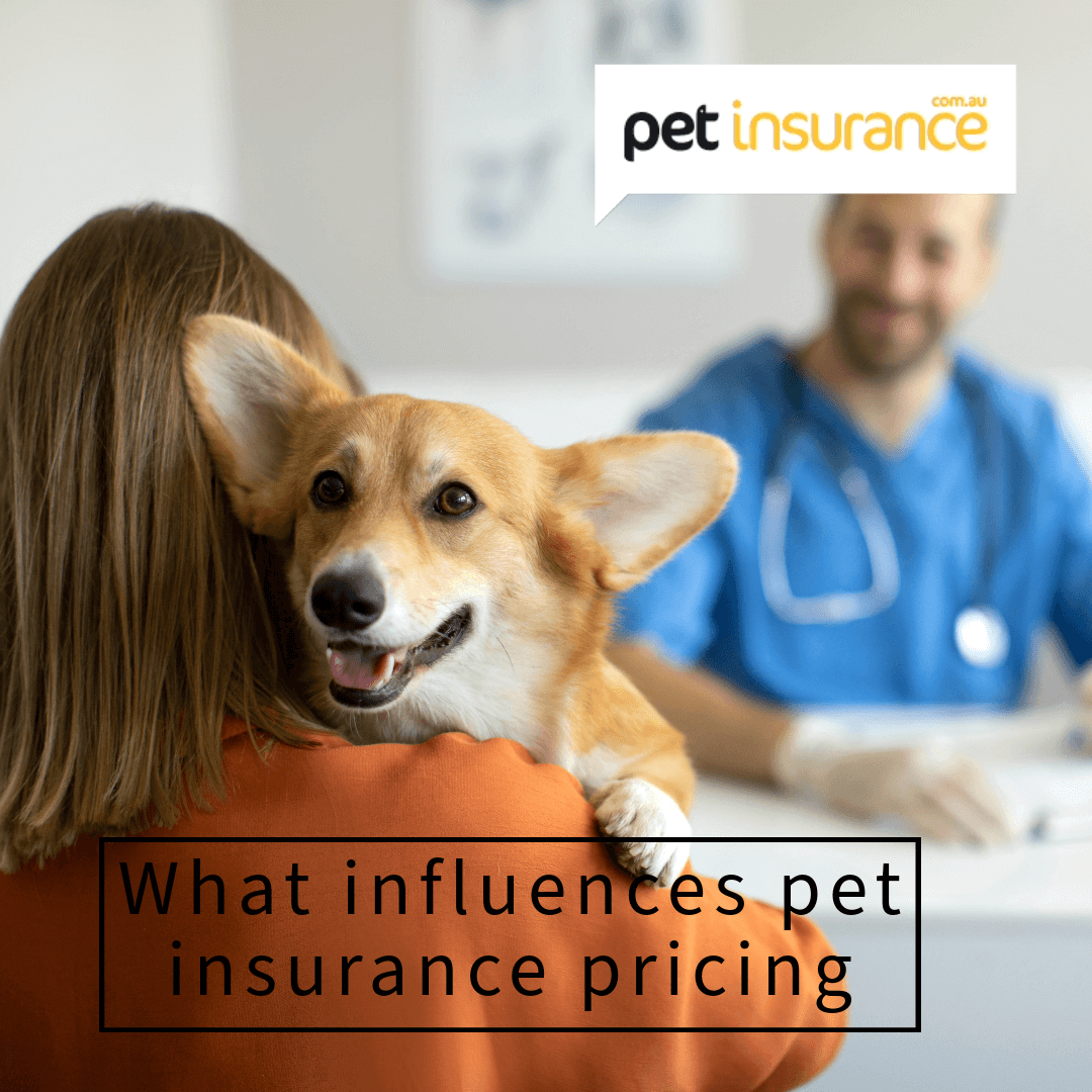 save on pet supplies