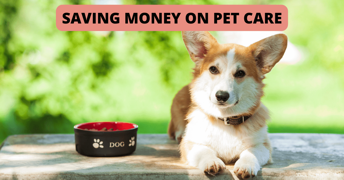 save on pet supplies