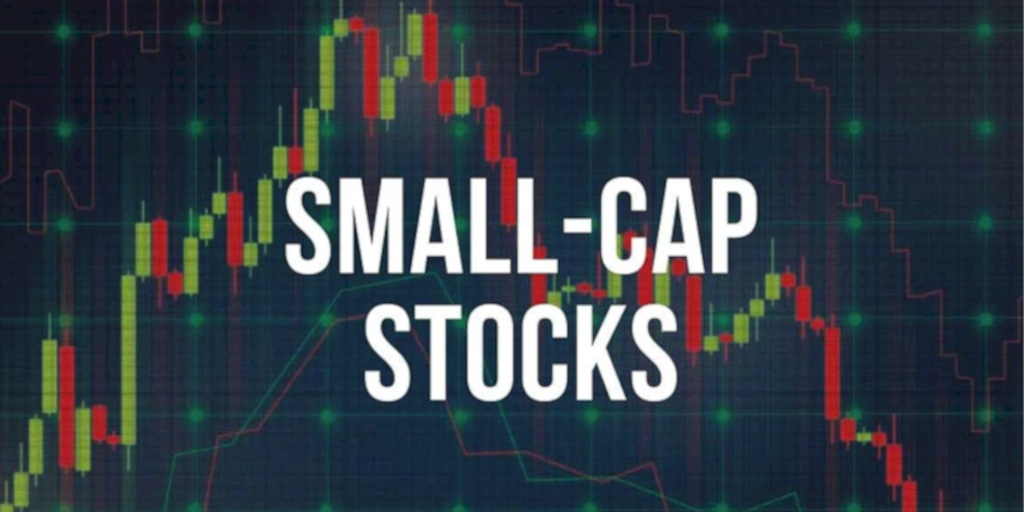 small cap vs large cap