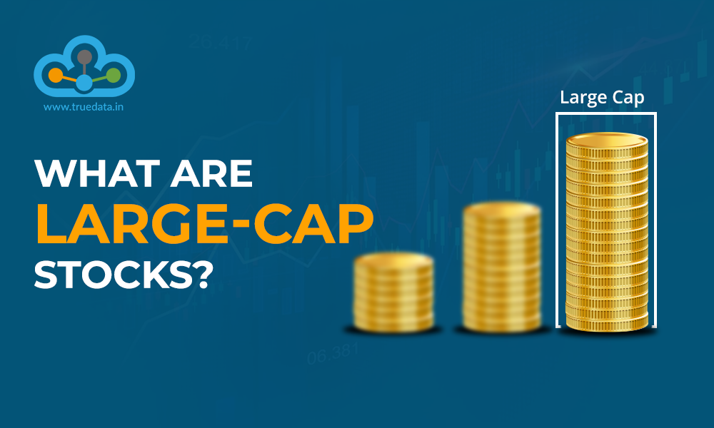 small cap vs large cap