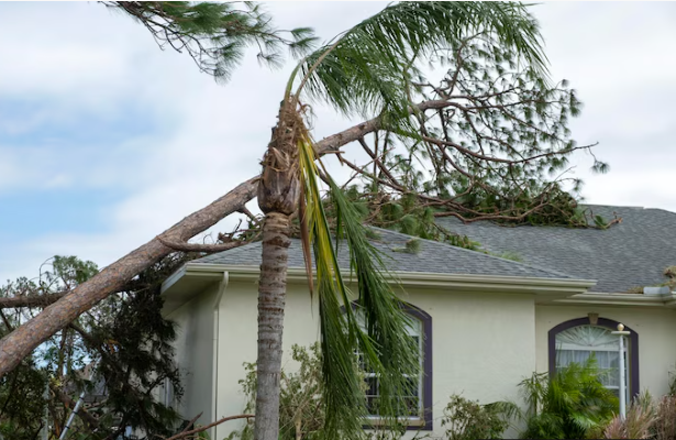 windstorm insurance coverage