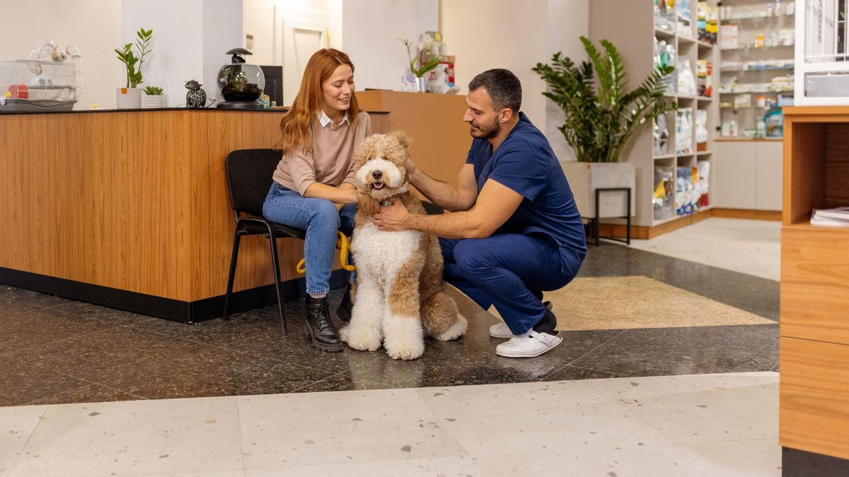 save on vet bills